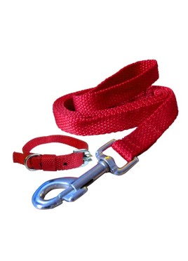 Fekrix Premium Red Nylon Lease With Collar 0.75 Inch